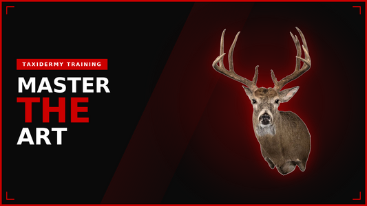 Mounting a Whitetail Deer Tutorial